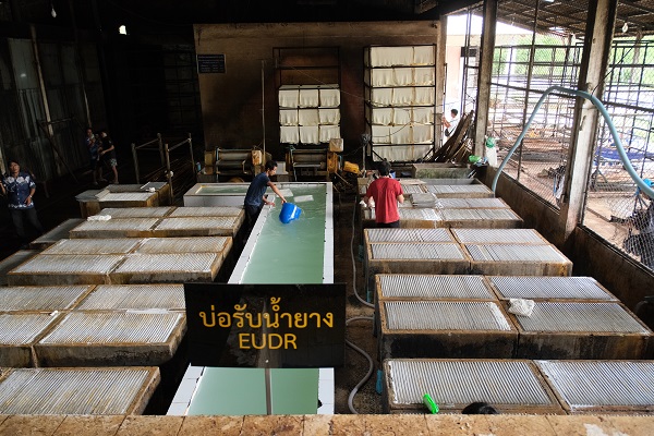 Interior of a latex processing plant in Songkhla