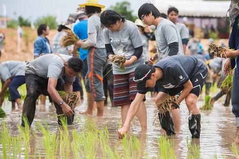 เชฟรอน-สถาบันเศรษฐกิจพอเพียง-สจล. เดินหน้าโครงการตามรอยพ่อฯ ปี 5 จัดกิจกรรม “เอามื้อสามัคคี” ครั้งที่ 3 จ.อุดรธานี